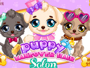 Puppy Makeover Hair Salon